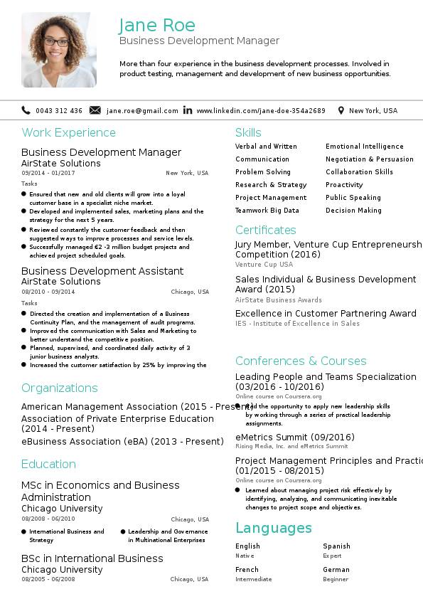 Business Developer Résumé Example