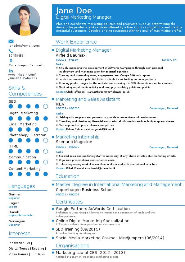 Digital Marketing Manager Résumé Example