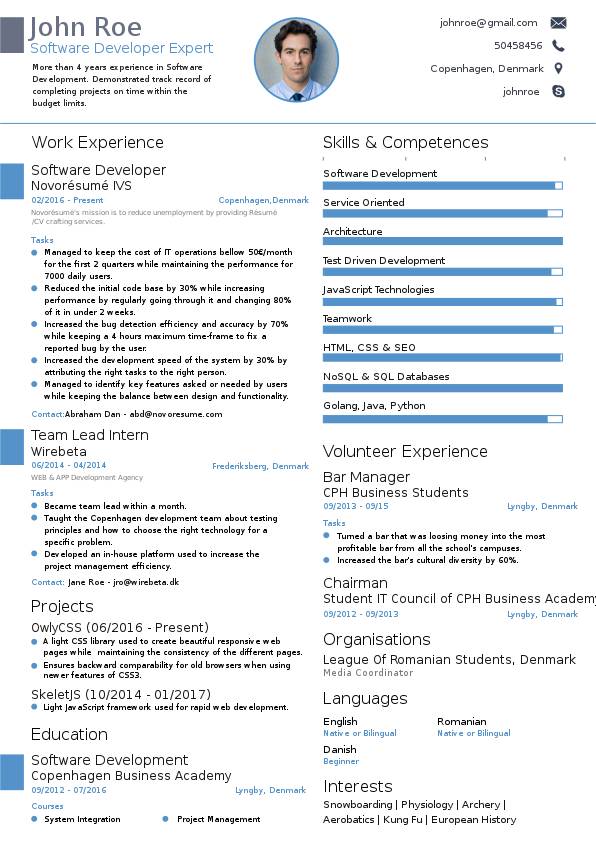 Software Developer Résumé Example